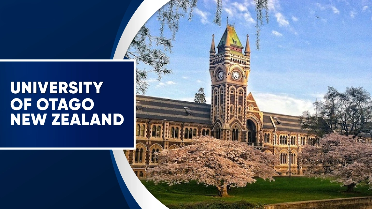 New Zealand university image